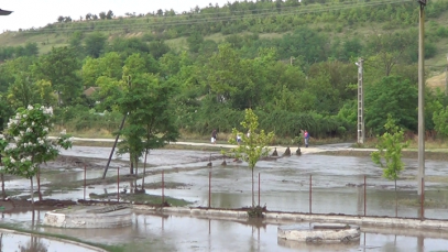 Bilanţul inundaţiilor în judeţul Constanţa: pădurea de la Ostrov şi sute de hectare de teren agricol din Hârşova şi Seimeni au fost inundate
